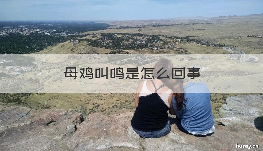 母鸡叫鸣是怎么回事 母鸡叫鸣吗