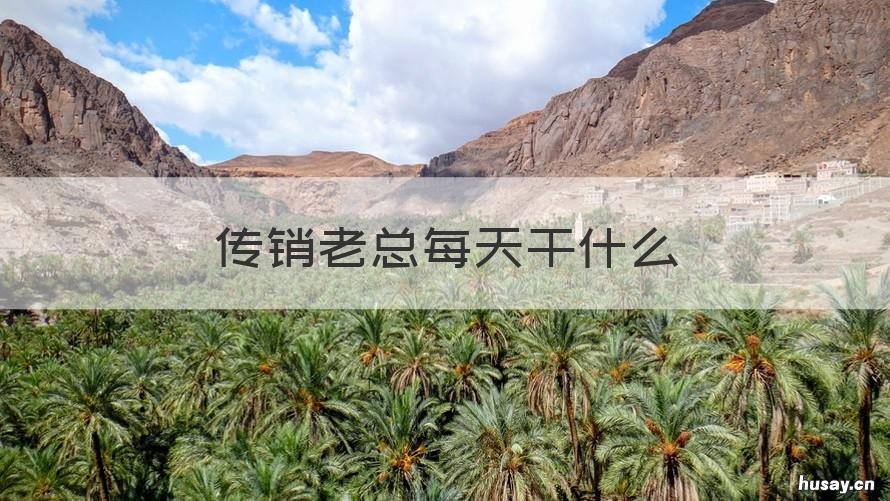 传销老总每天干什么 传销老总每天干什么活