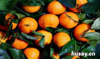 正在减肥可以吃柑吗 减肥能吃柑吗