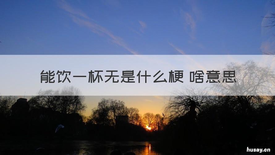 能饮一杯无是什么梗 啥意思