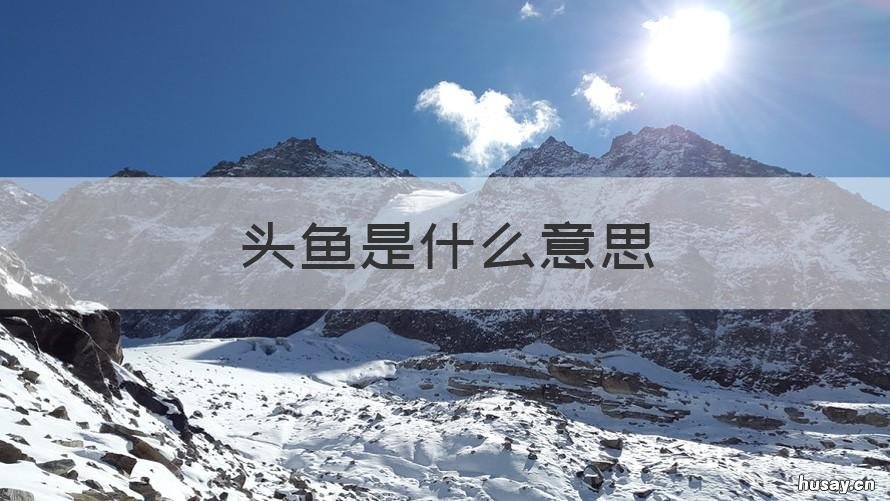 头鱼是什么意思 梦见大头鱼是什么意思