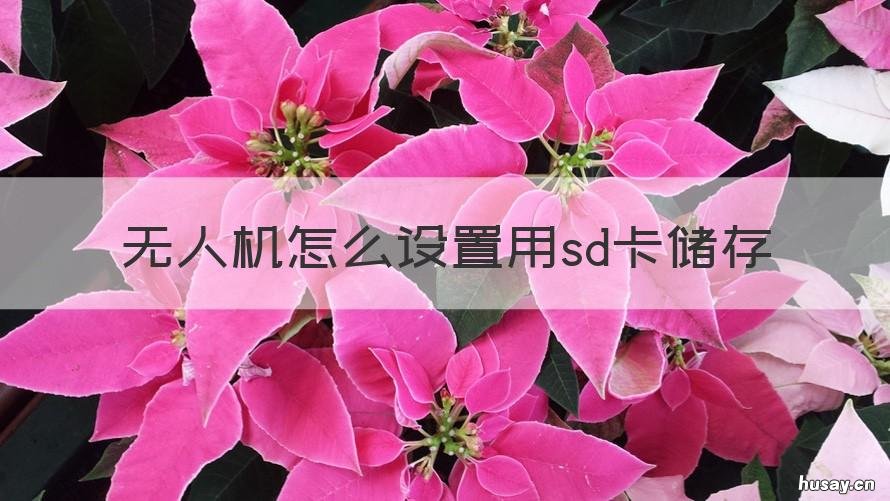 无人机怎么设置用sd卡储存 大疆无人机怎么设置用sd卡储存
