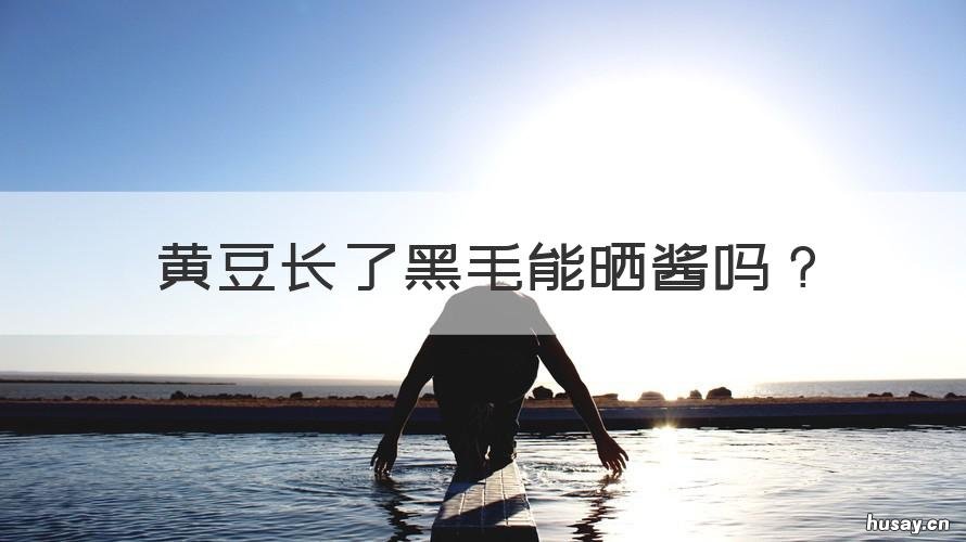 黄豆长了黑毛能晒酱吗 黄豆发酵有黑毛还能做酱吗