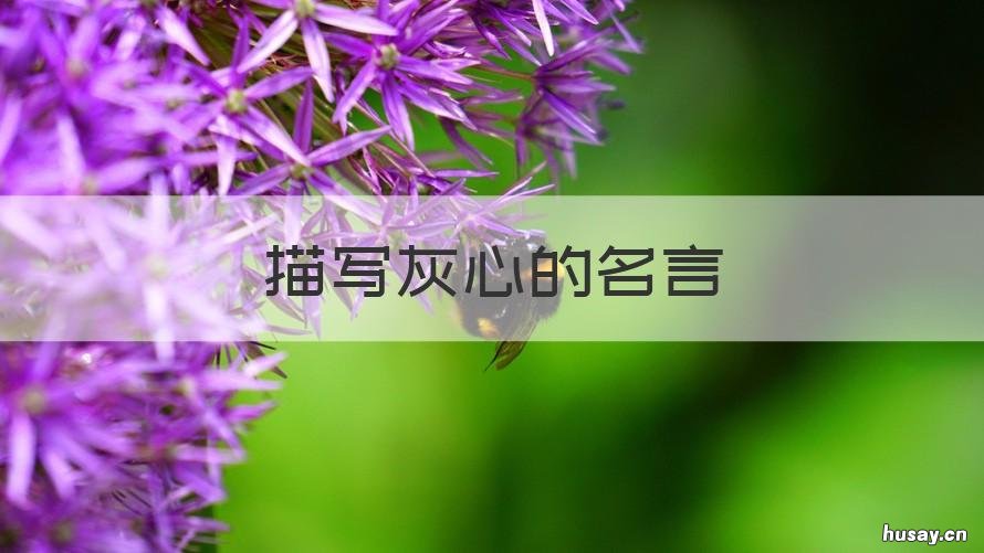 描写灰心的名言 描写灰心的名言名句