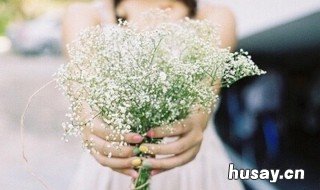 家里摆满天星干花好么 客厅放满天星干花好吗 风水