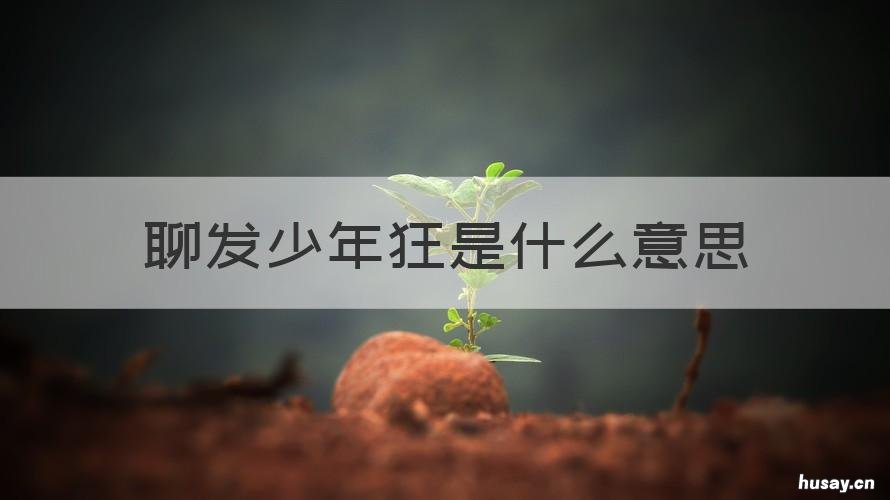 聊发少年狂是什么意思 老夫聊发少年狂是什么意思