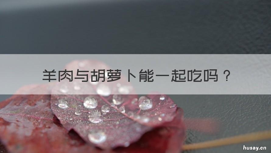 羊肉与胡萝卜能一起吃吗