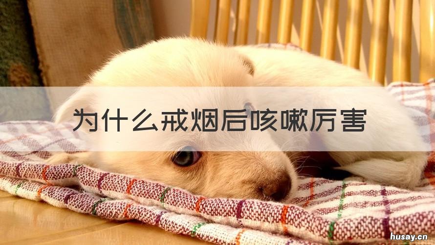 为什么戒烟后咳嗽厉害 戒烟后咳嗽的厉害