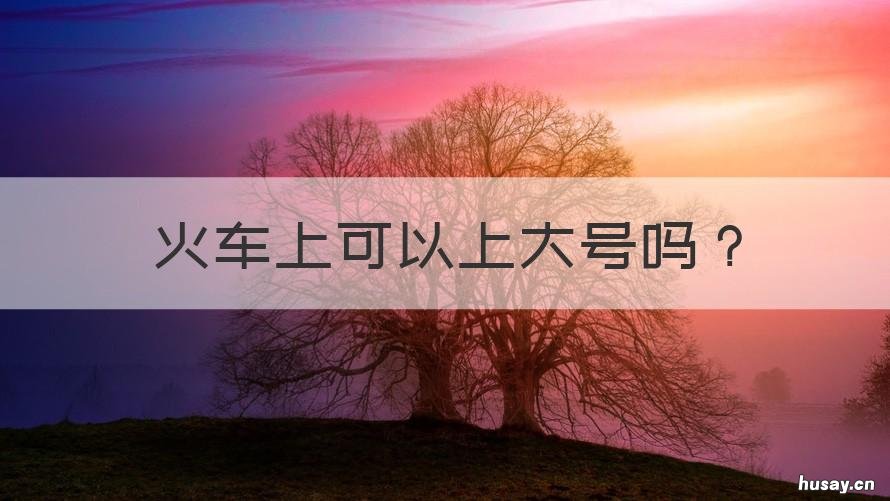 火车上可以上大号吗 在火车上可以上大号吗