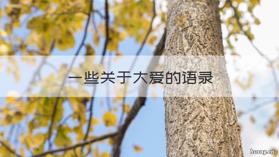 一些关于大爱的语录 大爱的句子经典语录