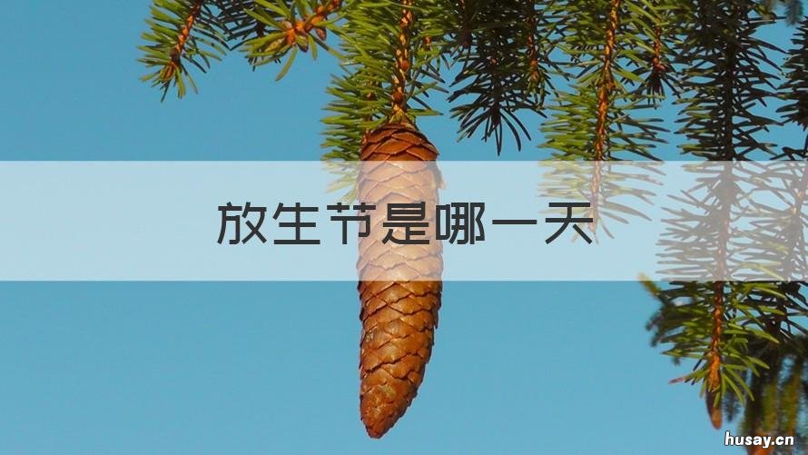 放生节是哪一天 放生是什么节日