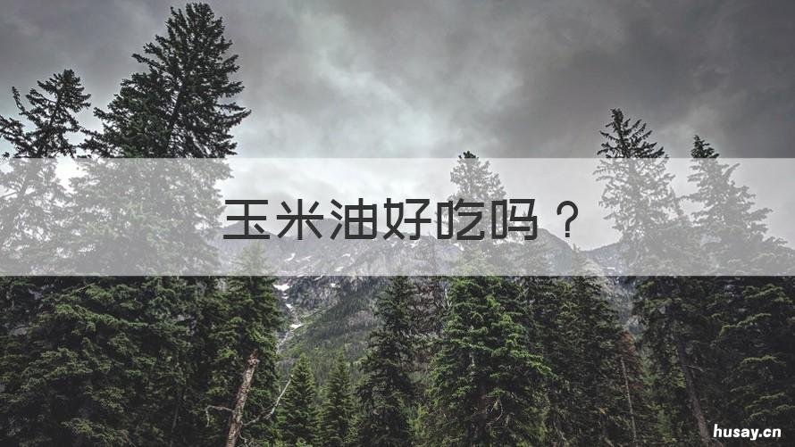 玉米油好吃吗 玉米油好吃吗?