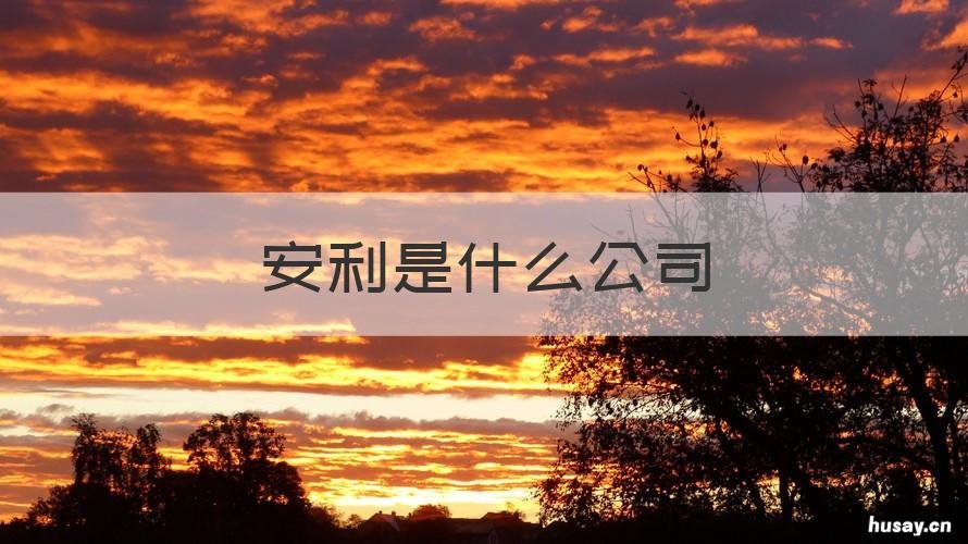 安利是什么公司 安利是什么公司的产品