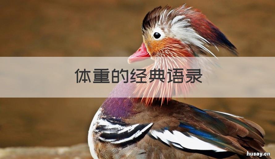 体重的经典语录 体重的经典语录英语