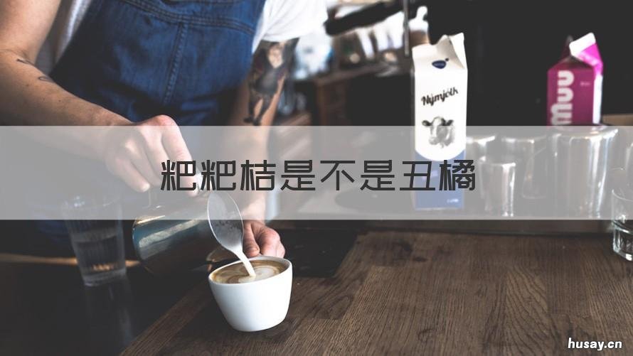 粑粑桔是不是丑橘 粑粑柑是不是丑橘