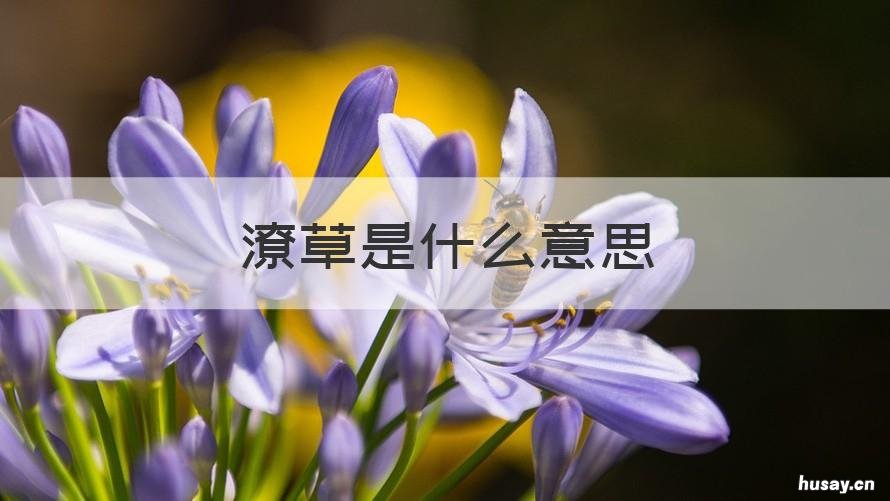 潦草是什么意思 谈爱恨不能潦草是什么意思