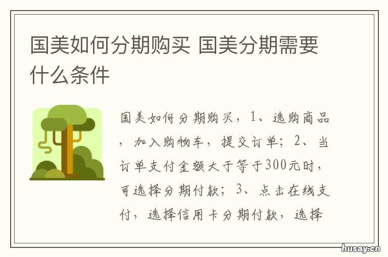 国美如何分期购买 国美怎么分期付款买手机