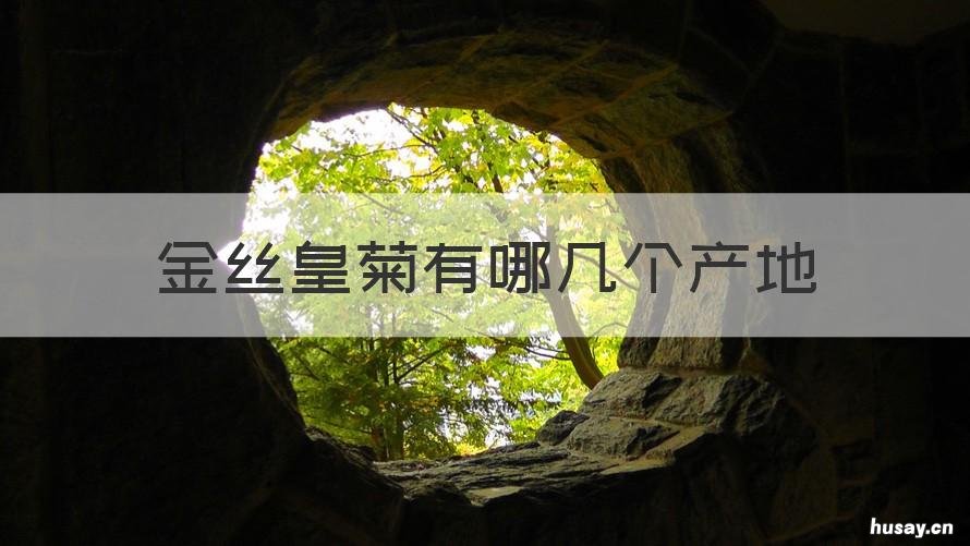 金丝皇菊有哪几个产地 金丝皇菊哪里的产地最好