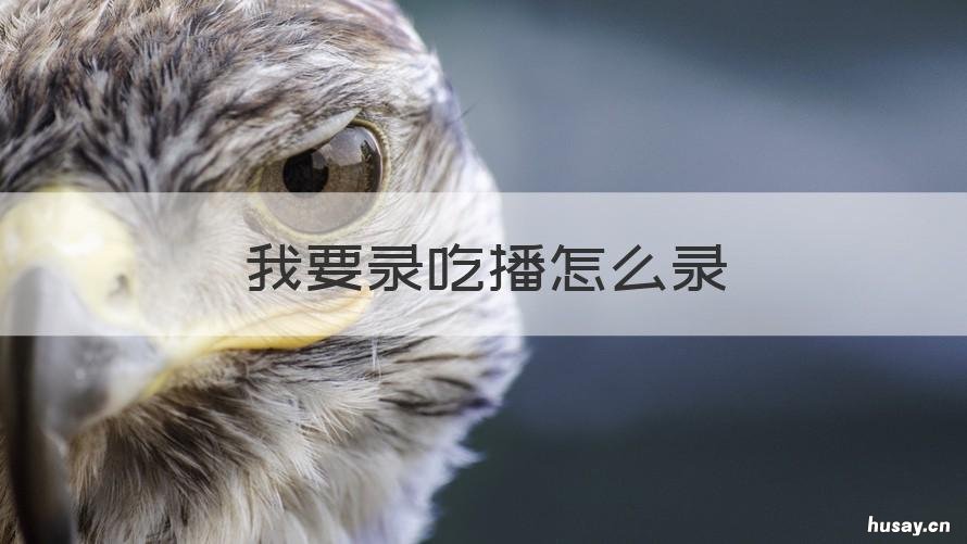 我要录吃播怎么录 手机可以录吃播吗