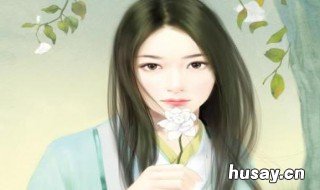 小说有叶飞主角的书 叶飞是哪部小说