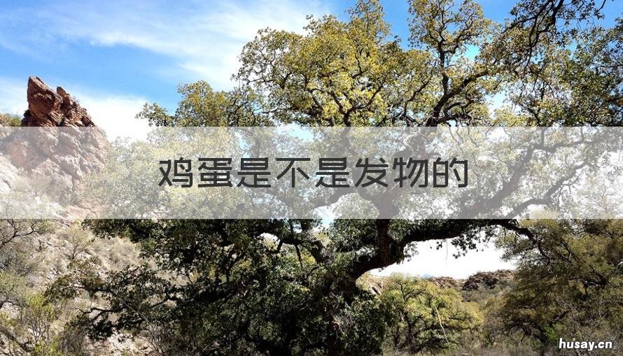 鸡蛋是不是发物的 鸡蛋是不是发物的食物