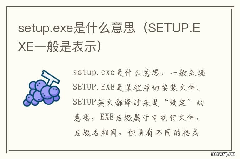 setup.exe是什么意思