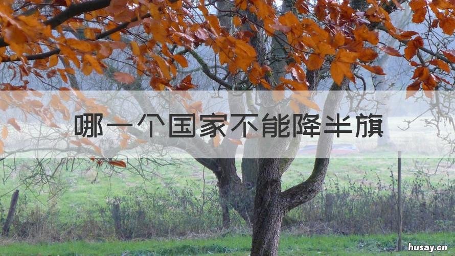 哪一个国家不能降半旗 哪个国家降旗不能降半旗