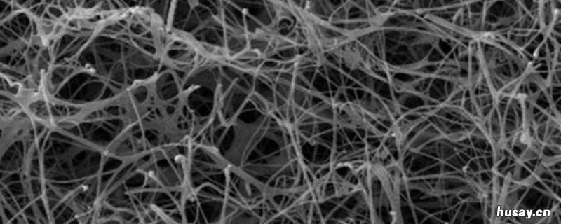 纤维有利于哪种细菌的繁殖 纤维有利于哪种细菌的繁殖?有益菌,有害