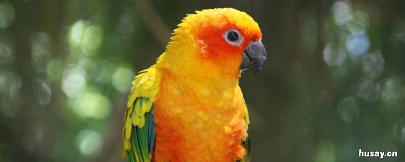 动物适应环境的方式有哪些 动物适应环境的方式有哪些方面