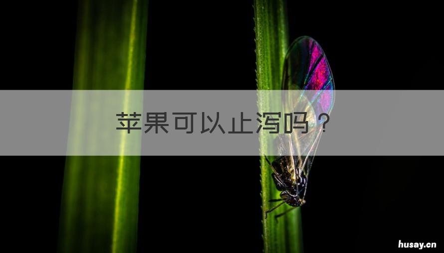 苹果可以止泻吗 煮熟的苹果可以止泻吗