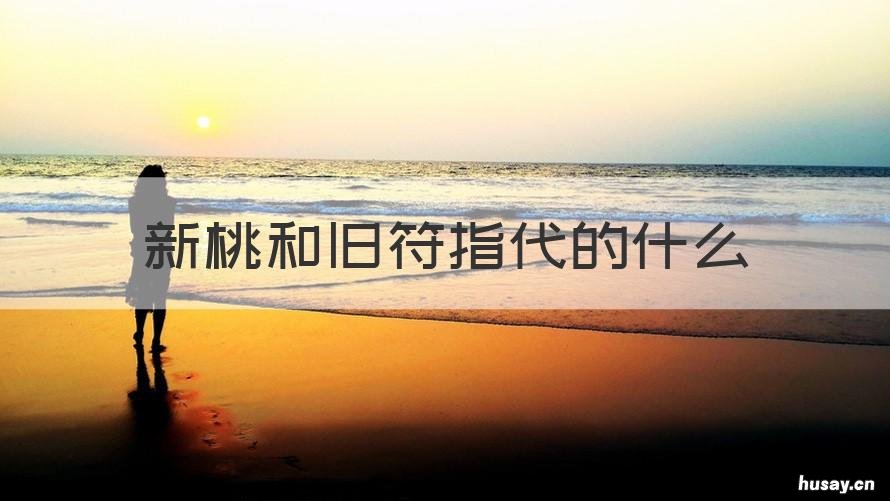 新桃和旧符指代的什么 新桃旧符指代的是什么