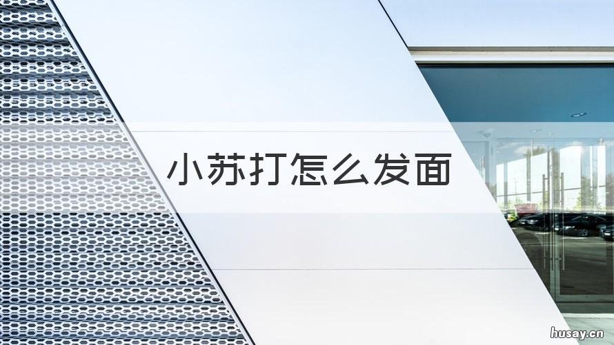 小苏打怎么发面 小苏打如何发面蒸馒头