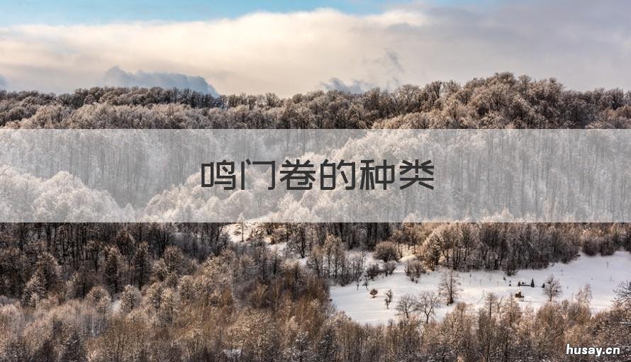 鸣门卷的种类 鸣门卷图片