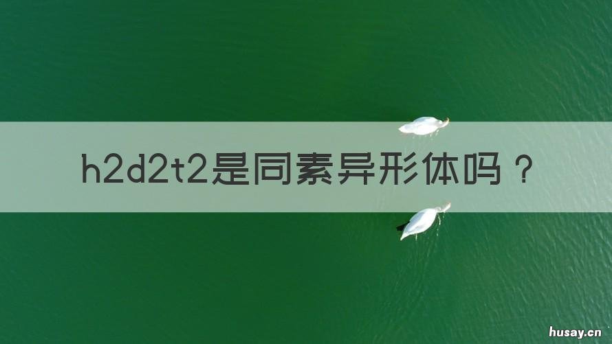 h2d2t2是同素异形体吗