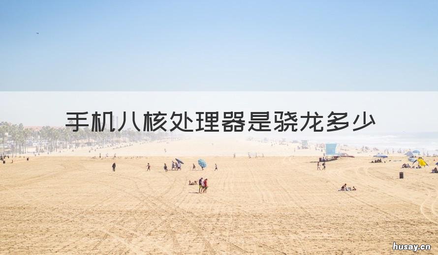 手机八核处理器是骁龙多少 处理器八核是骁龙几