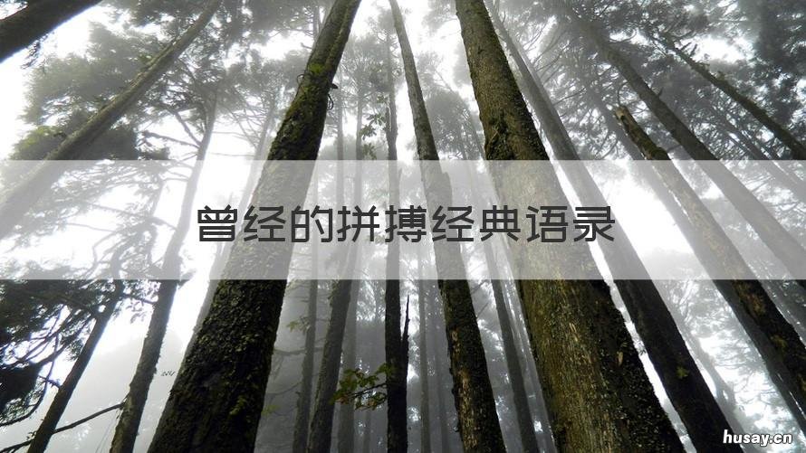 曾经的拼搏经典语录 打拼的语录