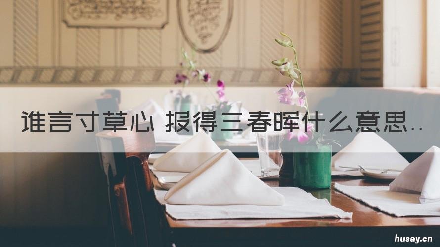 谁言寸草心 报得三春晖什么意思 谁言寸草心报得三春晖什么意思