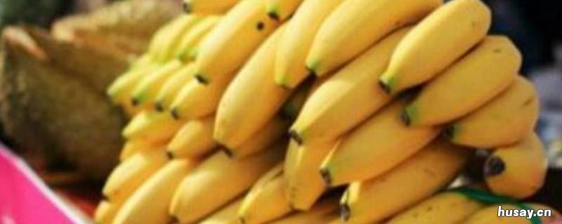 香蕉怕冻吗 生香蕉怕冻吗