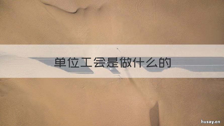 单位工会是做什么的 单位工会干嘛的