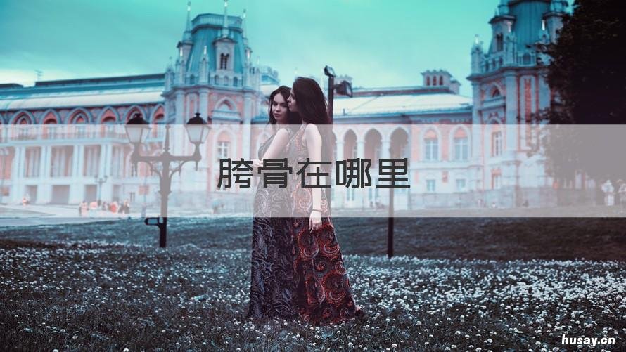 胯骨在哪里 胯骨在哪啊