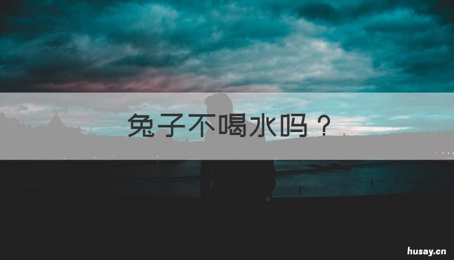 兔子不喝水吗 兔子一般不喝水吗