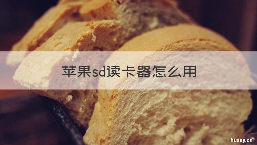苹果sd读卡器怎么用 iphone sd读卡器软件