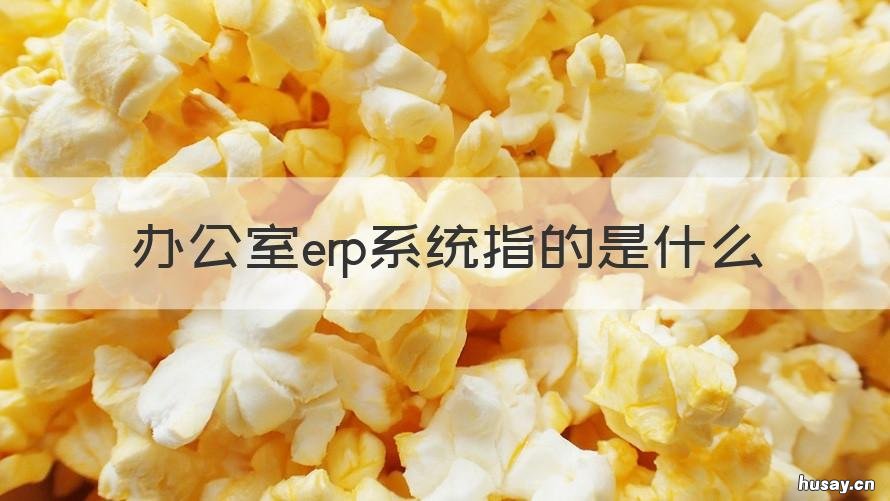 办公室erp系统指的是什么