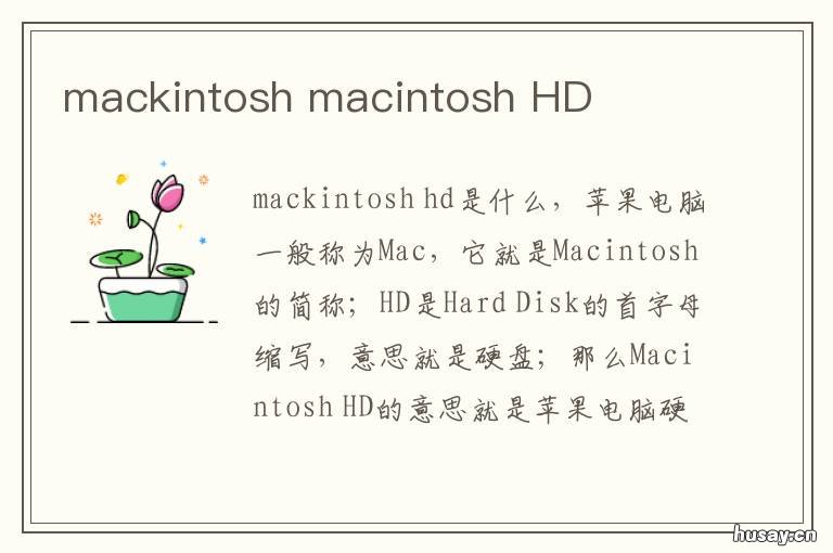 mackintosh mackintosh什么档次