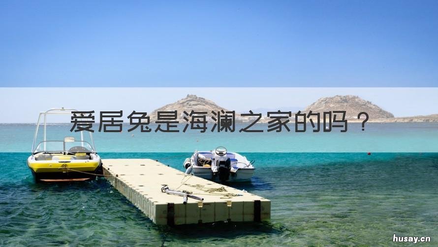 爱居兔是海澜之家的吗 爱居兔是海澜集团的吗