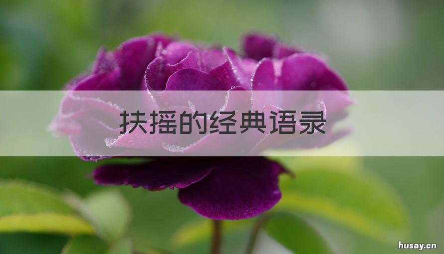 扶摇的经典语录 扶摇的经典语录图片