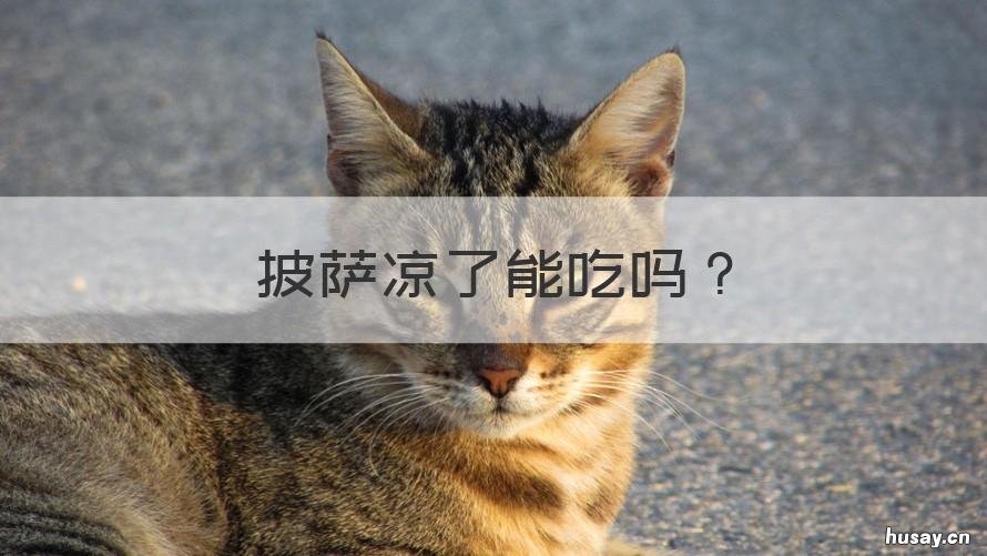 披萨凉了能吃吗 披萨冷了之后能吃吗?