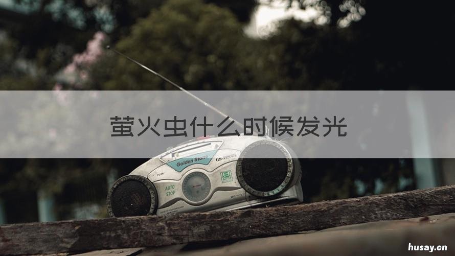 萤火虫什么时候发光 萤火虫什么时候开始发光
