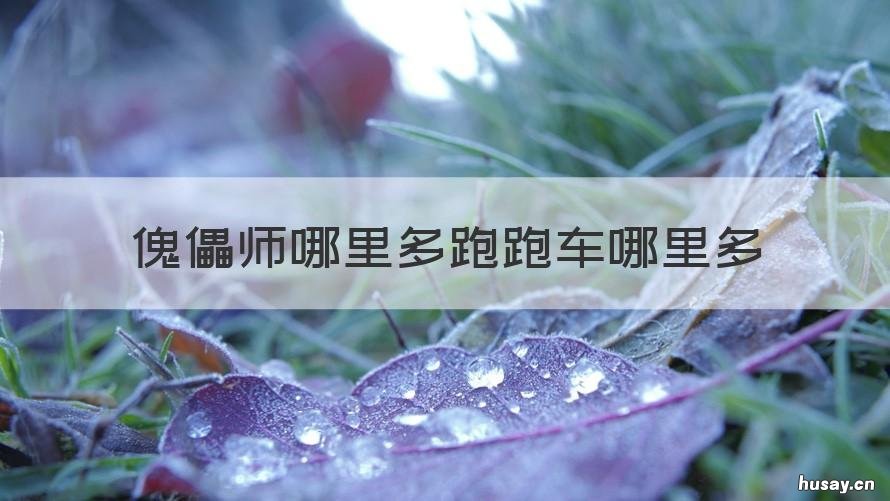 傀儡师哪里多跑跑车哪里多 傀儡师哪里最多跑跑车