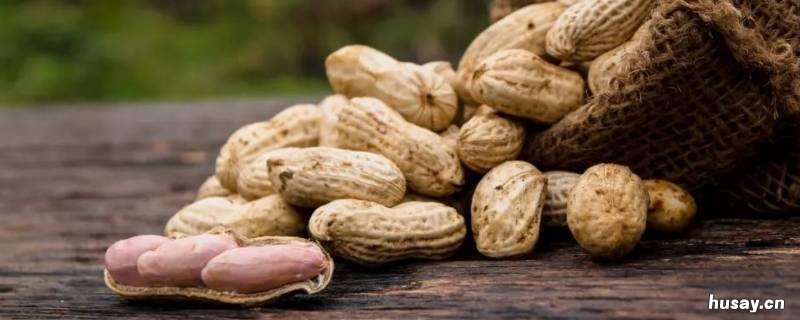 花生是不是坚果 花生是不是坚果类的食物